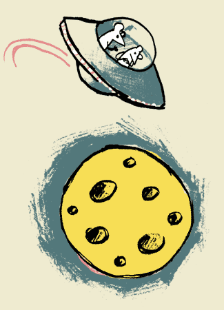 mice in space