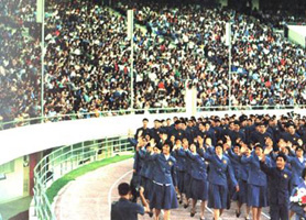 1966