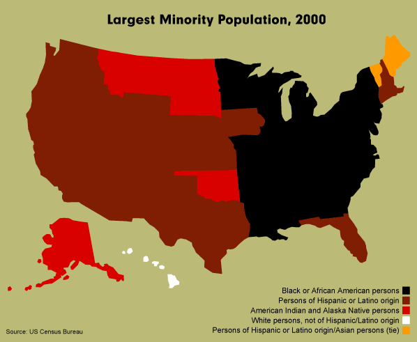 Largest Minority Population